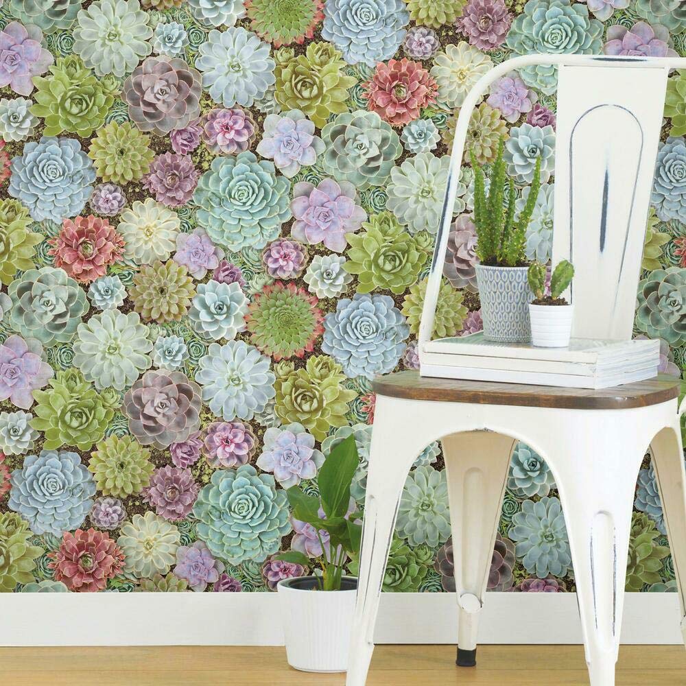 RoomMates RMK11249RL Colorful Succulents Peel and Stick Wallpaper, Green, 45.7 x 45.7 cm - Image 3