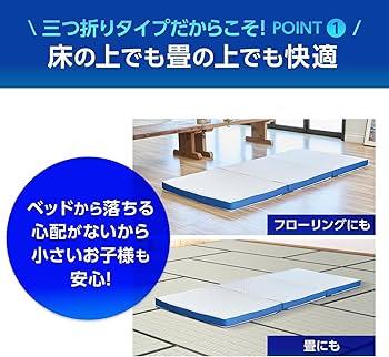 Amazon｜【公式】トゥルースリーパー プレミアリッチ 三つ折り