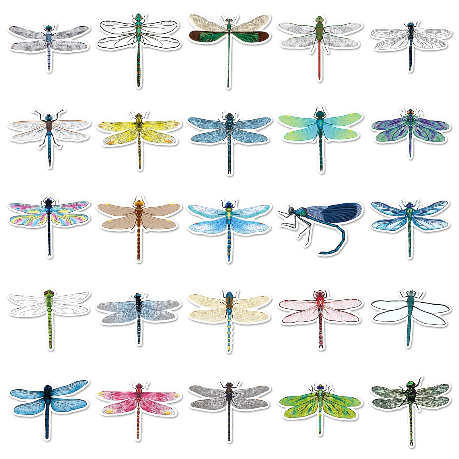 Dragonfly Stickers for Laptop (50 PCS),Gift for Children Teens Adults Girl Boys,Waterproof Stickers for Water Bottle,Dragonfly Vinyl Stickers for Scrapbook,Skateboard,Bike,Phone,Dairy - Image 2
