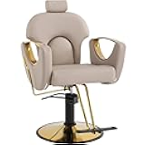 KIGOTY Salon Barber Chair, Reclining Barber Chair, Styling Chiar, Height Adjustable Hair Salon Chairs for Hair Stylist, 360 Swivel Braiding Hairdresser Chair for Barbershop, Spa Equipment (1, Grey)