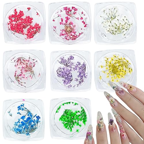 Qusmeiyici 8PCS Multicolor Floral Dried Flower Nail Stickers, 3D Nail Decals for Nail Art Decoration DIY Craft
