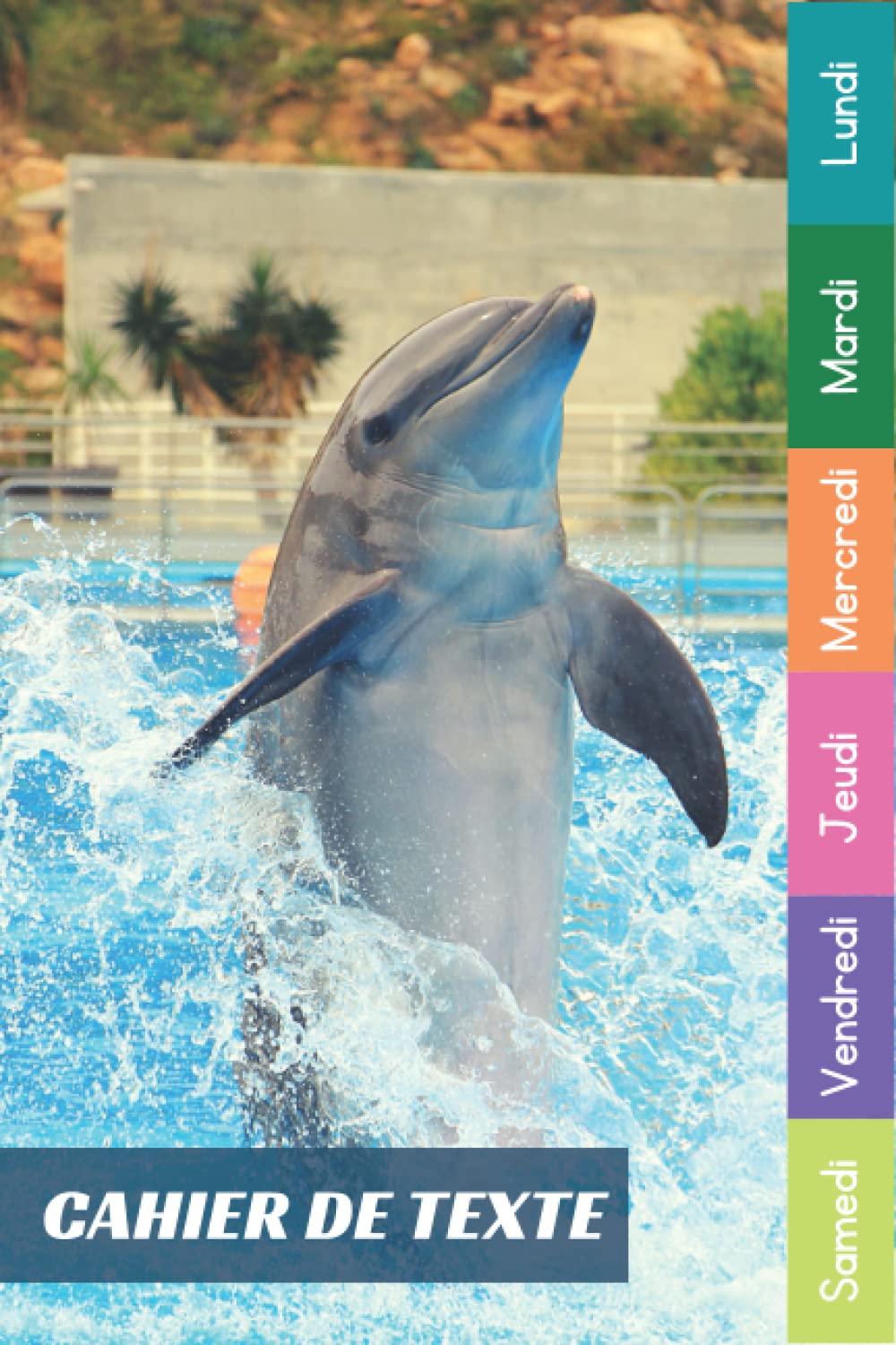 Cahier De Texte: 2022 2023 Dauphin Pour Garçon & Fille En Primaire, Collège Et Lycée Pratique Pour Toutes Les Matières (French Edition)