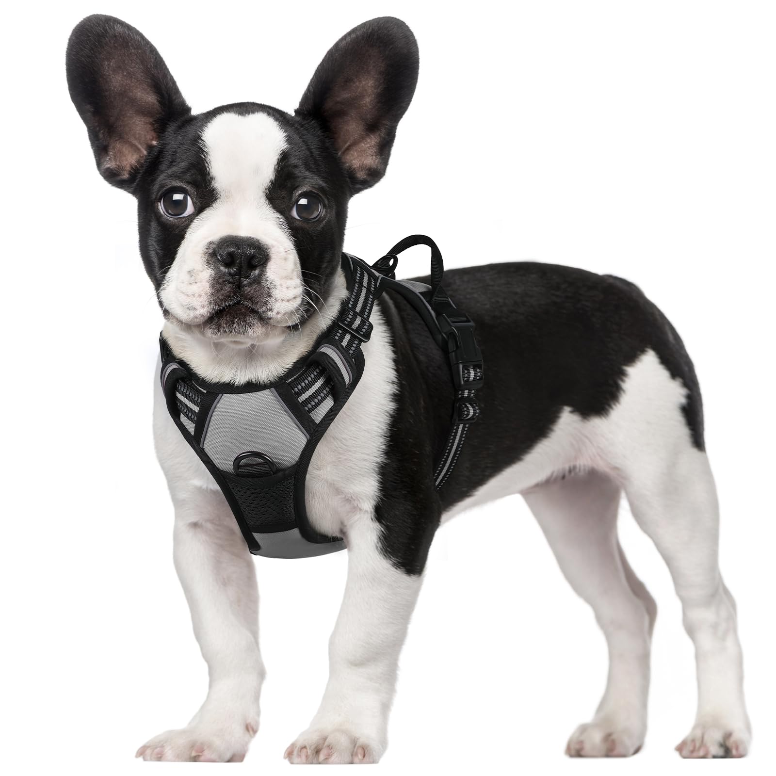 rabbitgoo Pettorina Cane Taglia Piccola, Pettorina Cane ad h Regolabile con 2 Ganci in Metallo, Imbracatura per Cani Anti Tiro Riflettente, Imbracatura Traspirante per Addestramento, Grigio, S