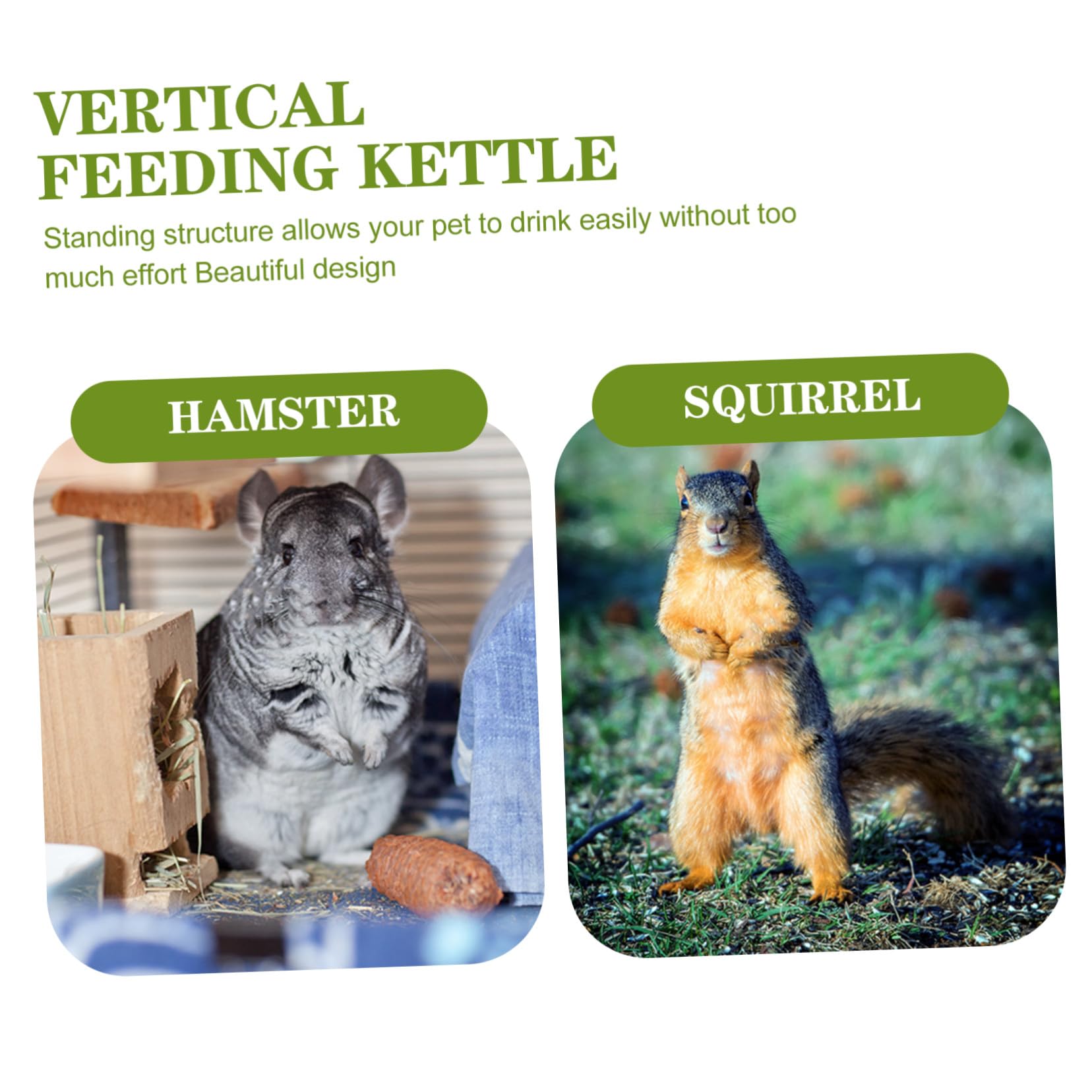Hohopeti Distributeur d'eau Vertical pour Petits Animaux Biberon Délicat en Polypropylène Vert, Design Pratique et Facile à Utiliser, Accessoire pour Chinchillas