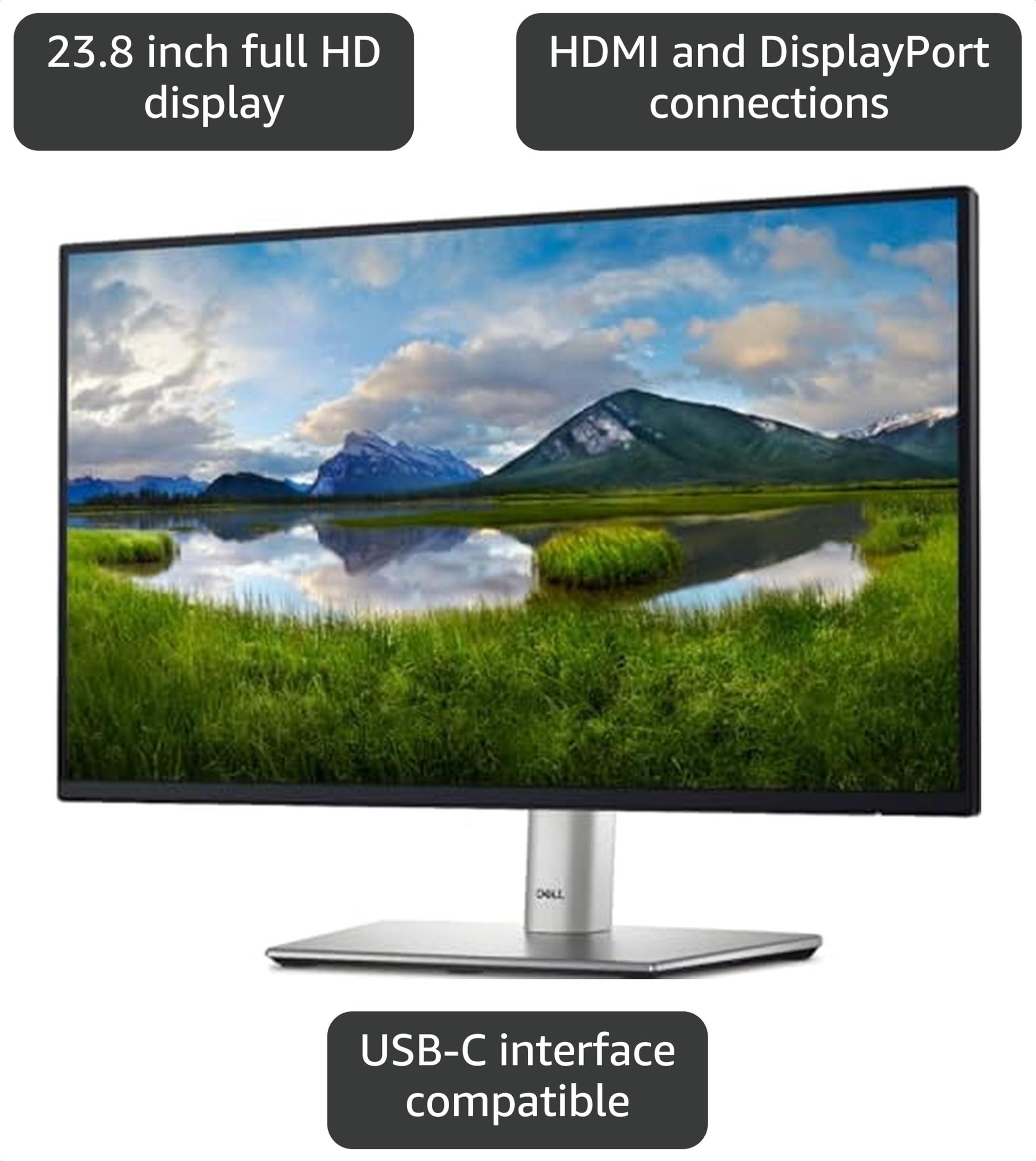 Amazon.com: Dell 24 P2424HT 23.8