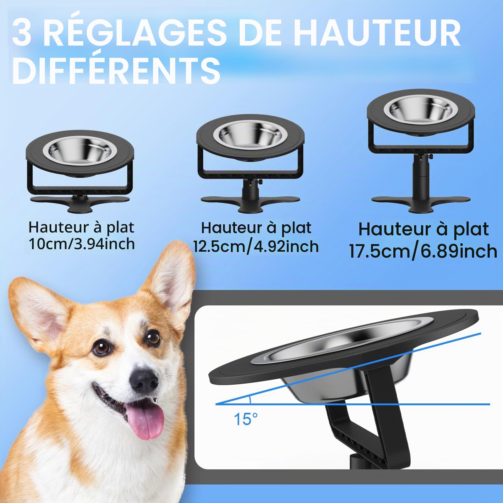 Bol surélevé pour Chat avec Support inclinable à 15°, Hauteur Ajustable 6/10/15 CM(2,4"/4"/6"), Bols en Acier Inoxydable, pour Chats et Chiots d'intérieur, Support antidérapant
