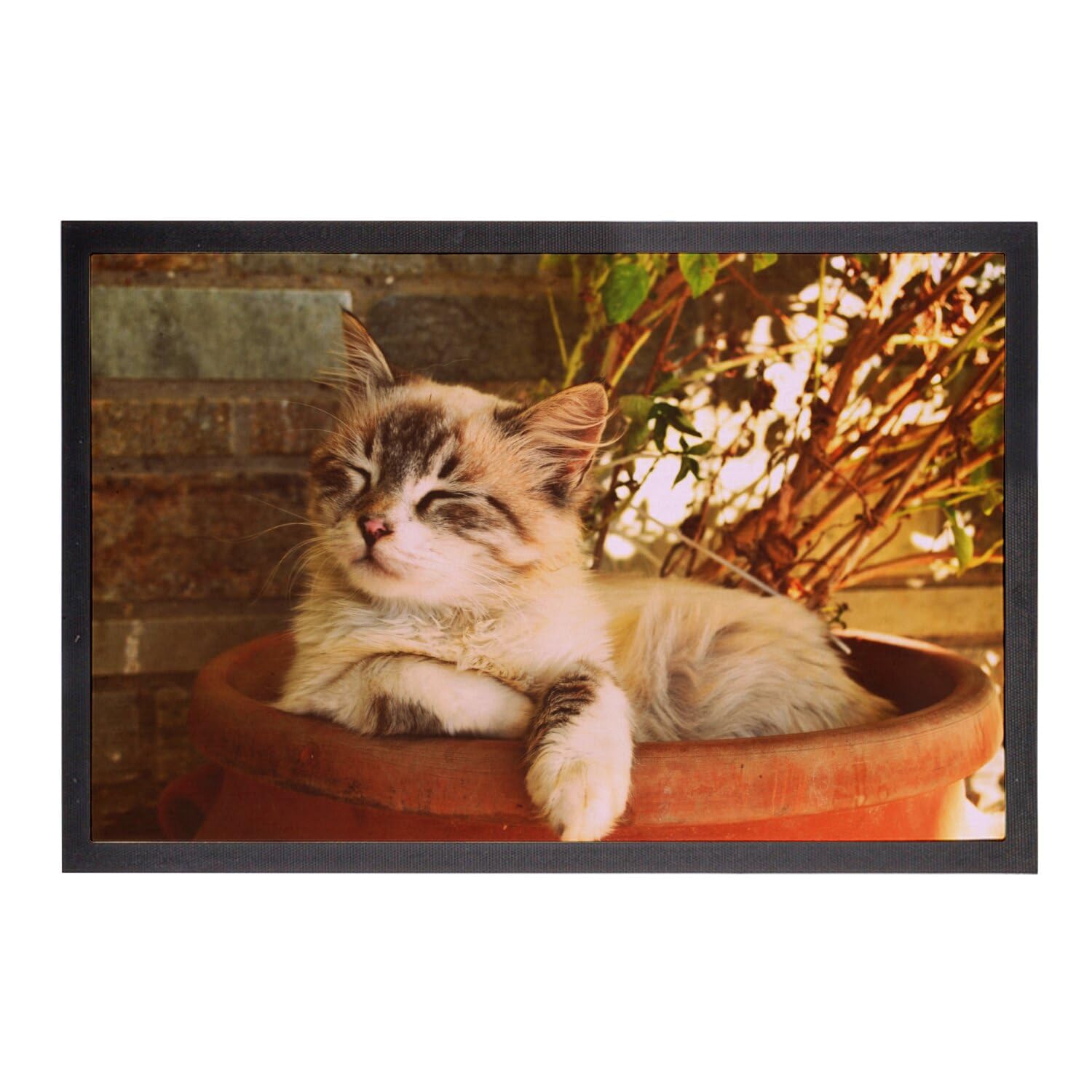 Paillasson Chat Mignon Pot de Fleur pour une Maison Accueillante et Douce