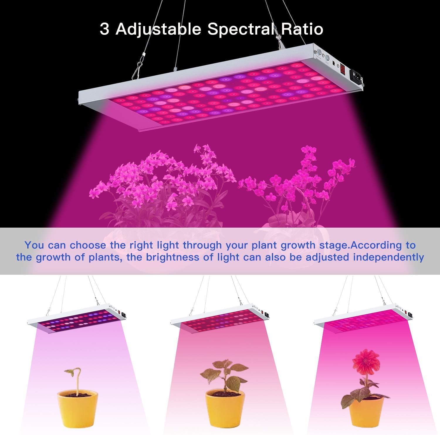 Lamparas de cultivo Luz LED de crecimiento, lámpara de planta de espectro completo con 98 LEDs, Cultivo Hidropónicos VETS Luz de paneles de floración (Negro)
