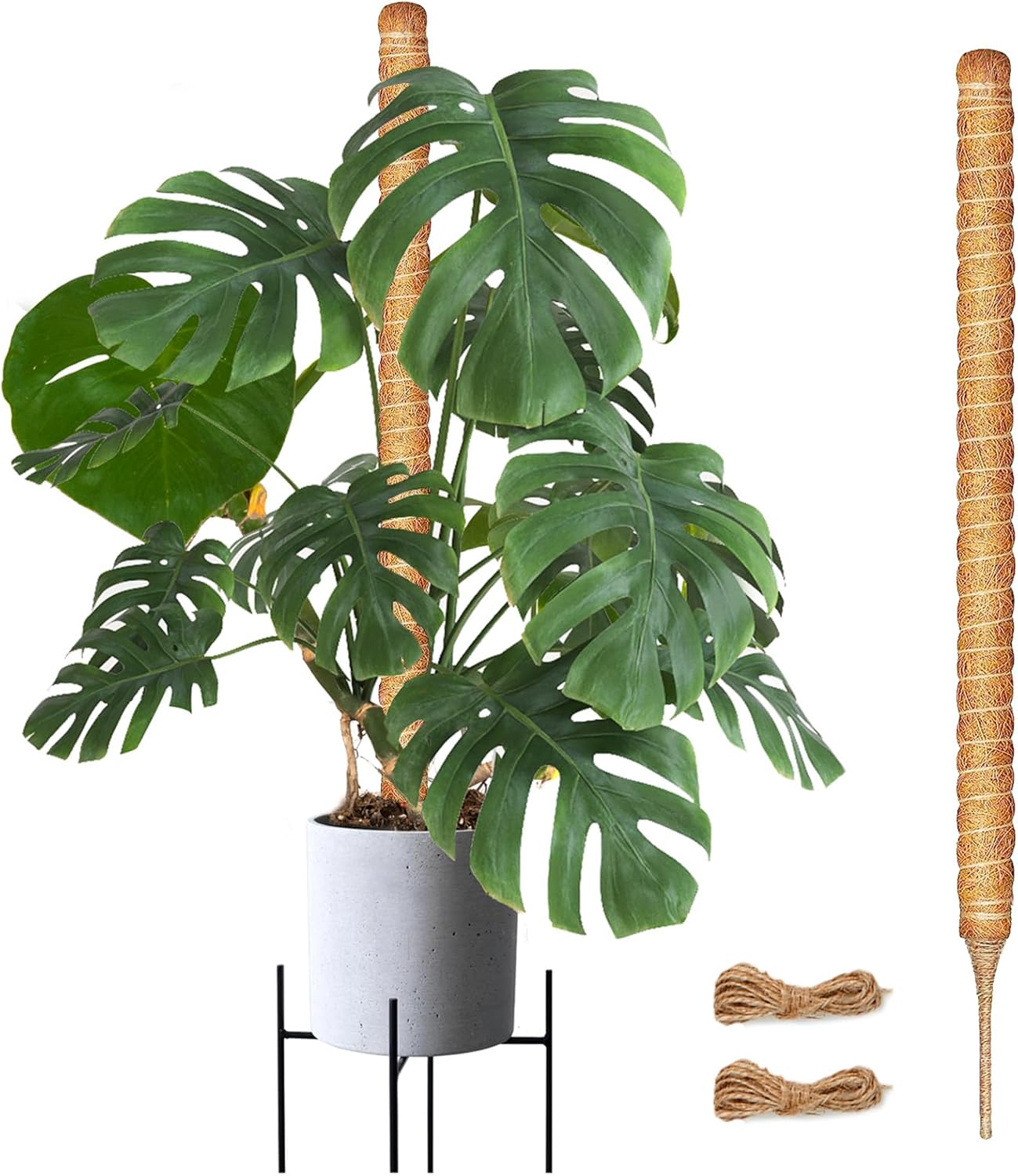Joyhalo Moss Pole for Plants, 48 Inch Monstera Plant