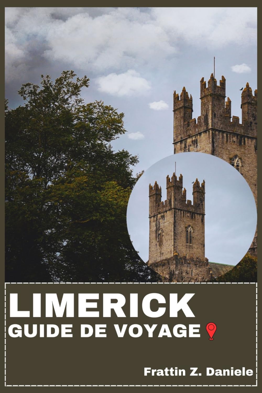 LIMERICK GUIDE DE VOYAGE: Votre guide de voyage indispensable pour Limerick : conseils pratiques, itinéraires détaillés, sites historiques, ... culturelles et excursions d'une journée