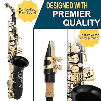 sota sax  selmer-SAS711-alto-
