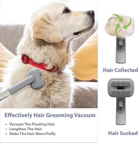 Miniatura 5 de PETM8 Kit de aspiradora profesional para mascotas, succión 99% pelo de mascotas, cortapelos eléctricos con herramientas de aseo 5 en 1 para limpieza