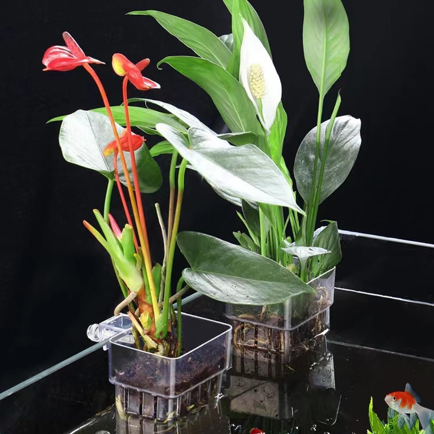 Support Plante D'aquarium, Pot pour Plantes D'Aquarium, Acrylique Transparent Tasses Panier pour Plantes Aquatiques Suspension pour Plantes, Décoration pour Aquarium, 2 Pièces