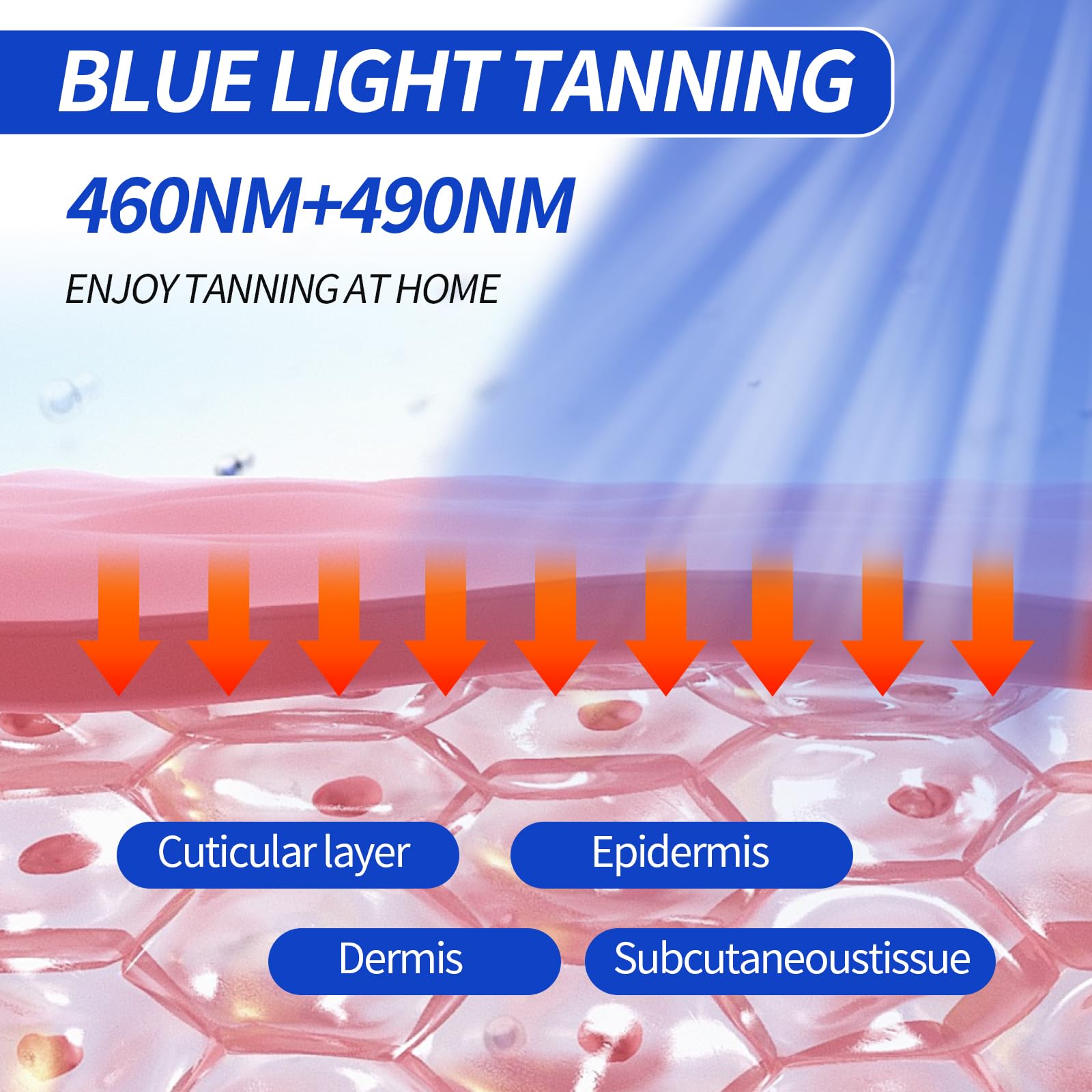 Solarium Für Zuhause 460NM 490NM Bräunungslampe 60W Blaues Licht Doppelte Halterung Gesichtsbräuner 432 LEDs