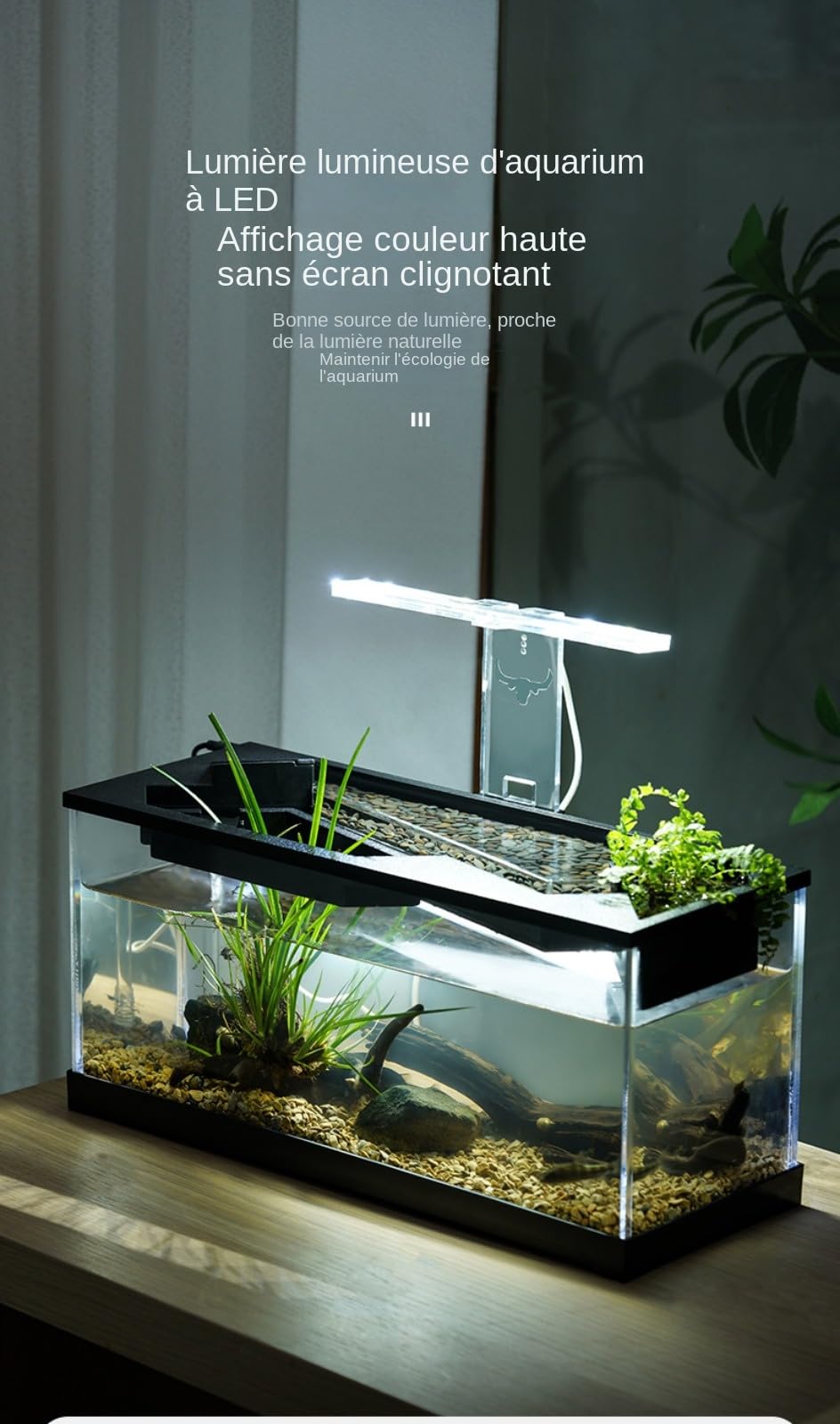 Petit Aquarium de Table Rectangulaire en Acrylique Transparent - Avec Pompe pour Salon, Bureau - Paysage Aquatique, Cycle de Filtre, Aménagement Paysager Écologique