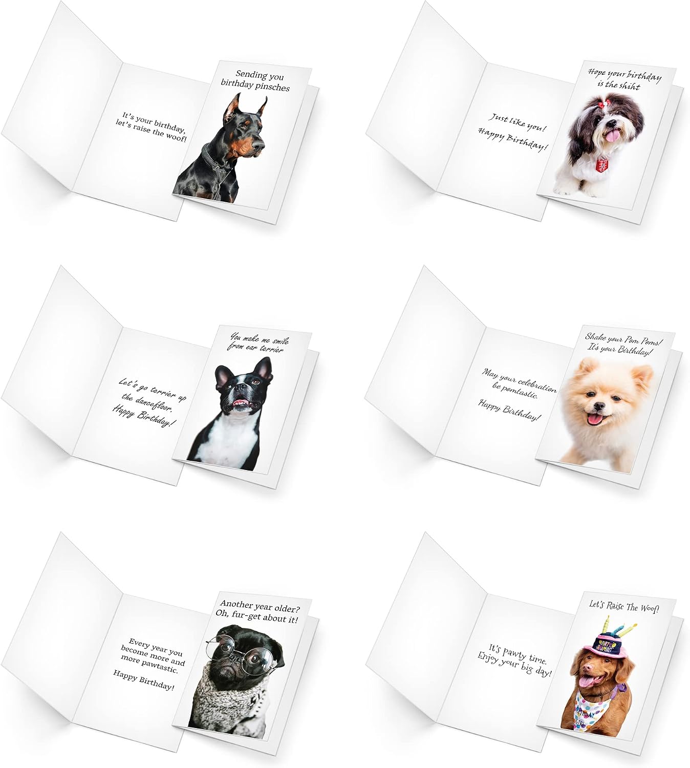 Prime Greetings 24 Funny Dog Birthday Card Assortment - Greeting Card Assortment - Funny Birthday Cards Bulk - Boxed Birthday Cards Box Set With Message inside, Made In America, Eco-Friendly