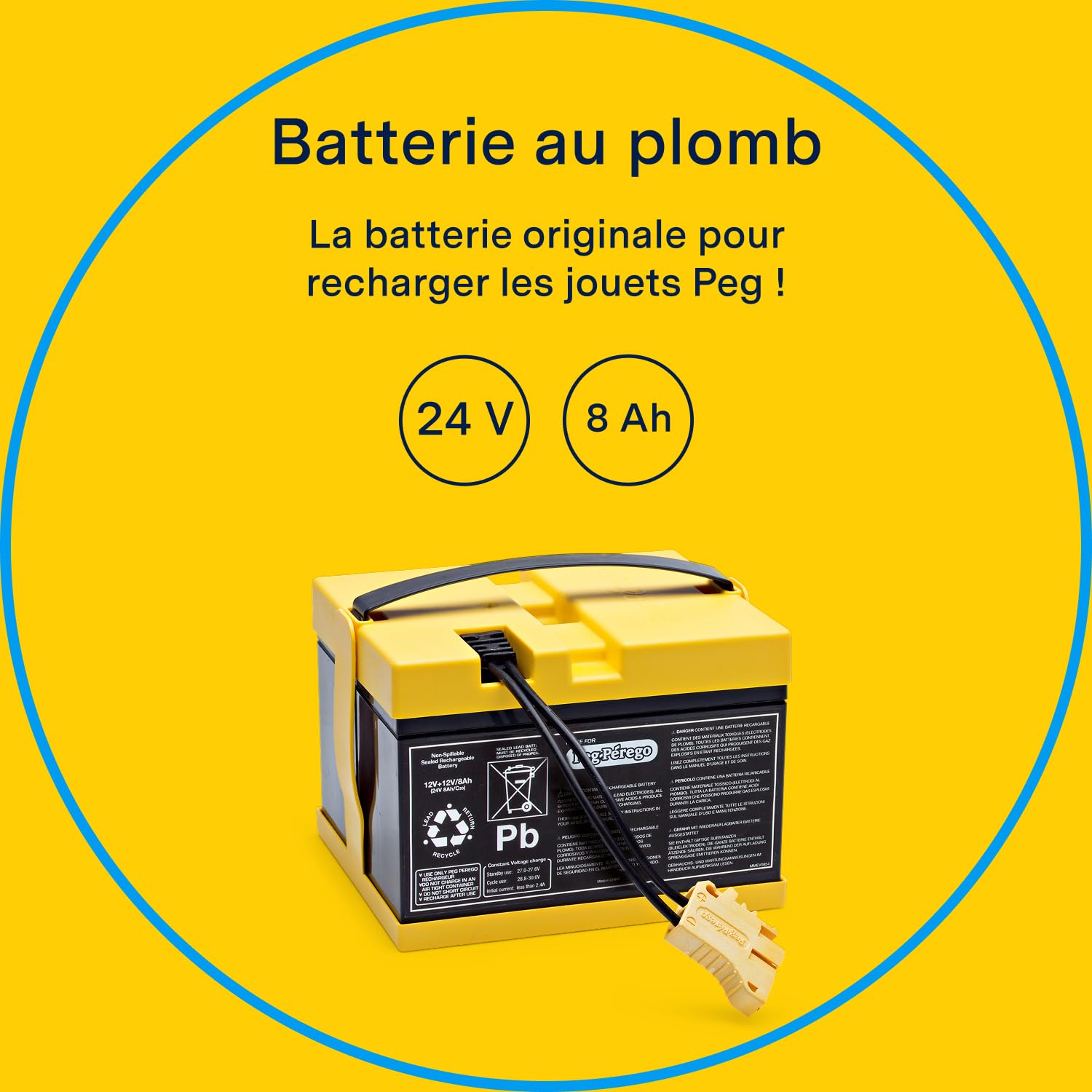PEG Perego Batterie 24V 8Ah Rechargeable Pièce de Rechange Originale pour Véhicules Électriques