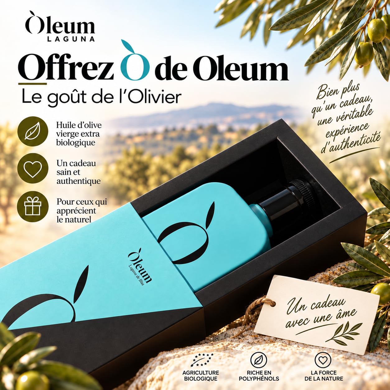 OLEUM LAGUNA | Huile d'olive extra vierge biologique Coupage Variétés Cornicabre et camomille - Coffret 500 ml