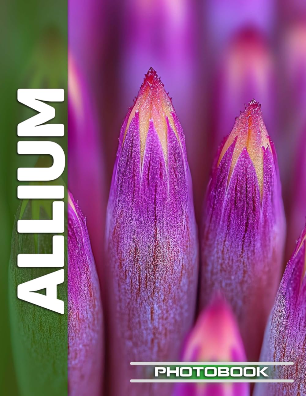 Allium Photo Book | Vibrant Allium Blossoms Captured In Stunning Botanical Garden Photography
