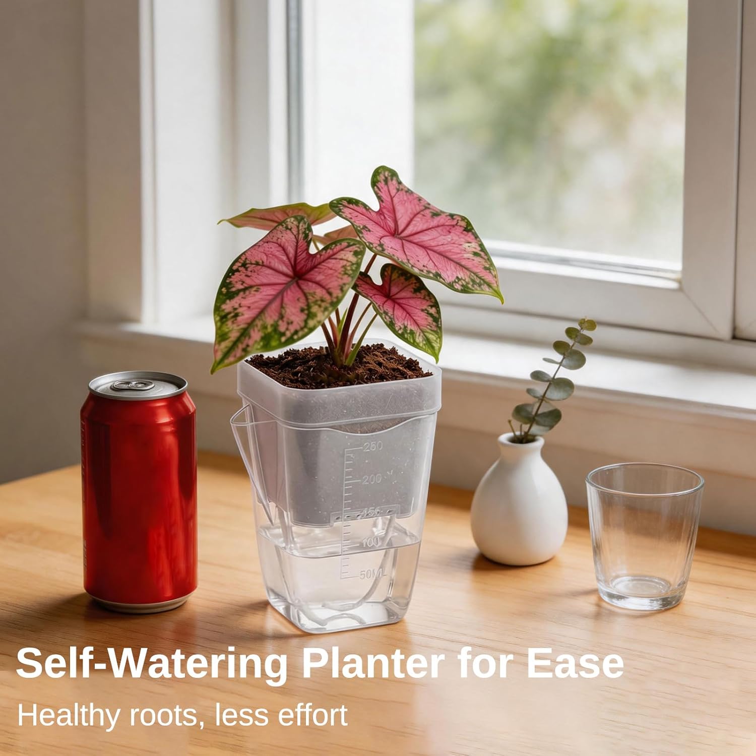2.5 Inch Self Watering Pots, Clear Nursery Pots with Drainage Holes & Visible Water Level, 12 Pack Seed Starter Pots for Seedlings, Cuttings, Succulents, Prevent Overwatering