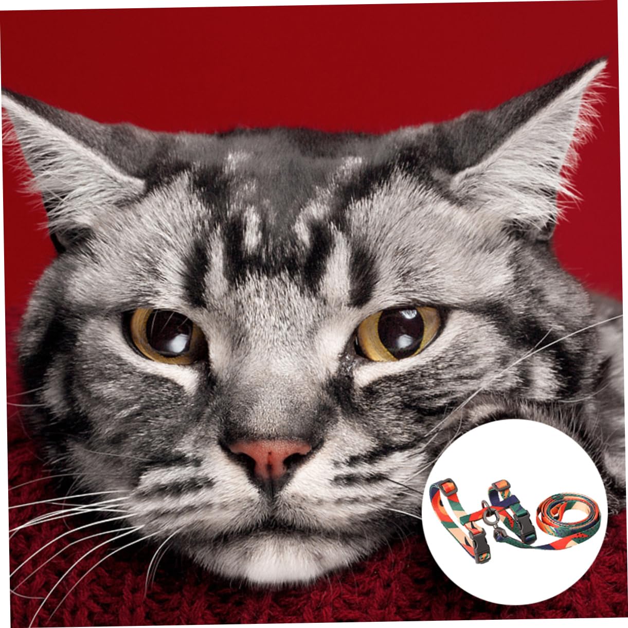 POPETPOP 3piezas Arnés h para Gato Cuerda De para Arnés De Seguridad Material y Resistente Al para Paseos y Actividades