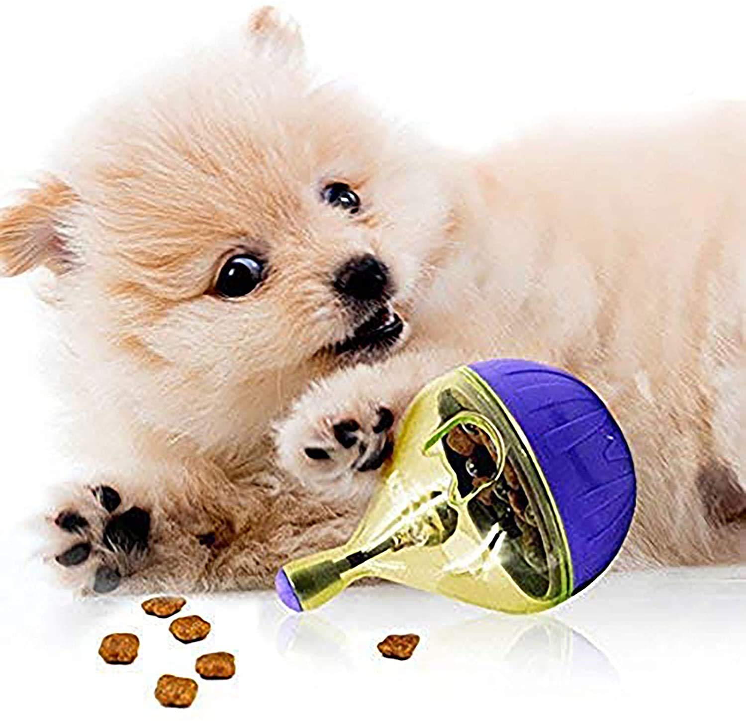 THE DDS STORE Treat Ball Toy for Pet Increases IQ Interactive Food Dispenser Tumbler Shaped Pet Treat Ball Cat and Dog Food Toy (Colour May Vary) (B08TCGQNF7) Amazon Price History, Amazon Price Tracker