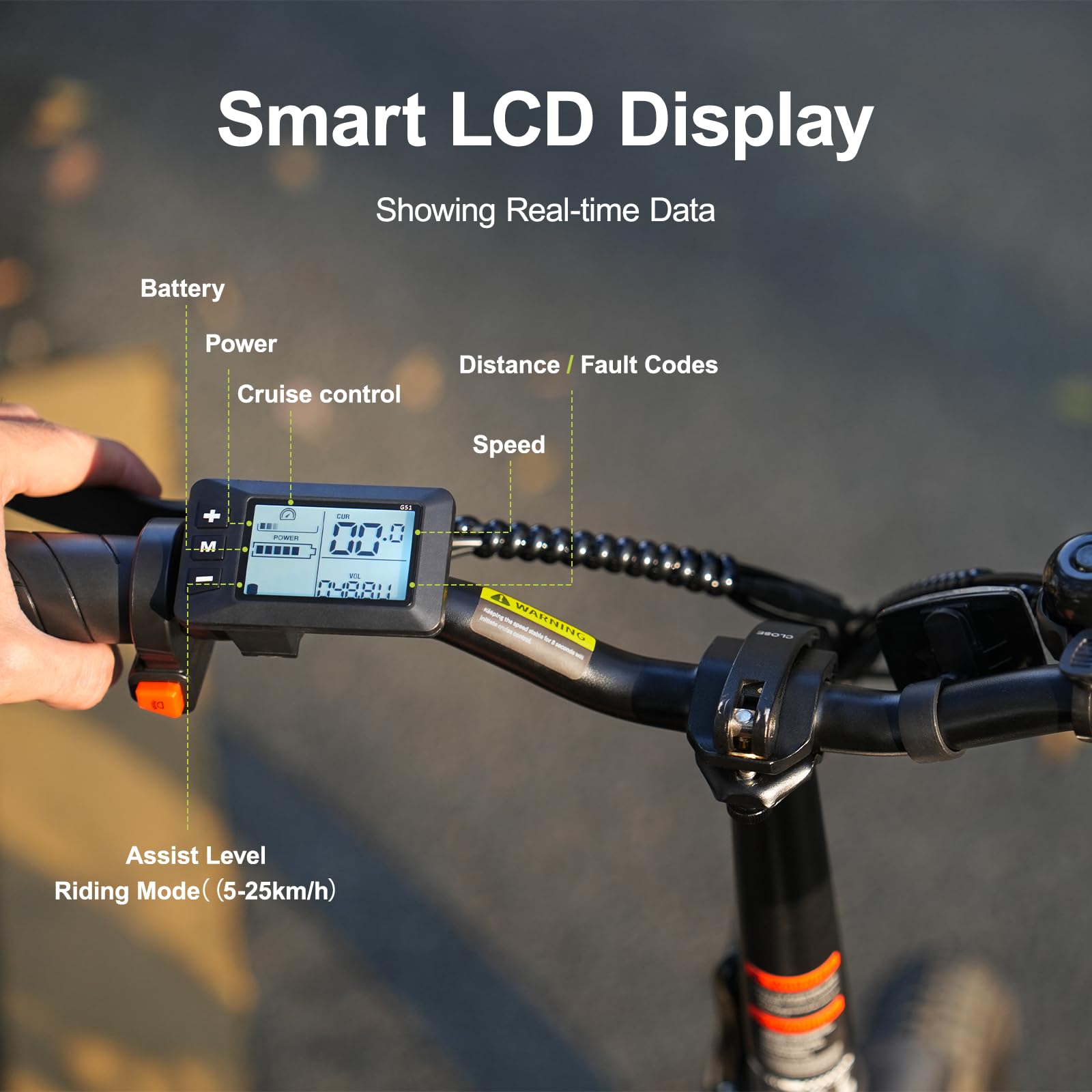 Bici Elettrica Pieghevole 16" per Adulti, Batteria Rimovibile 36V 12.8Ah, Bici Elettrica Uomo Donna per Città e Pendolari, Fino a 25 km/h, Freni a Disco, Display LCD, E Bike Urbana Nera