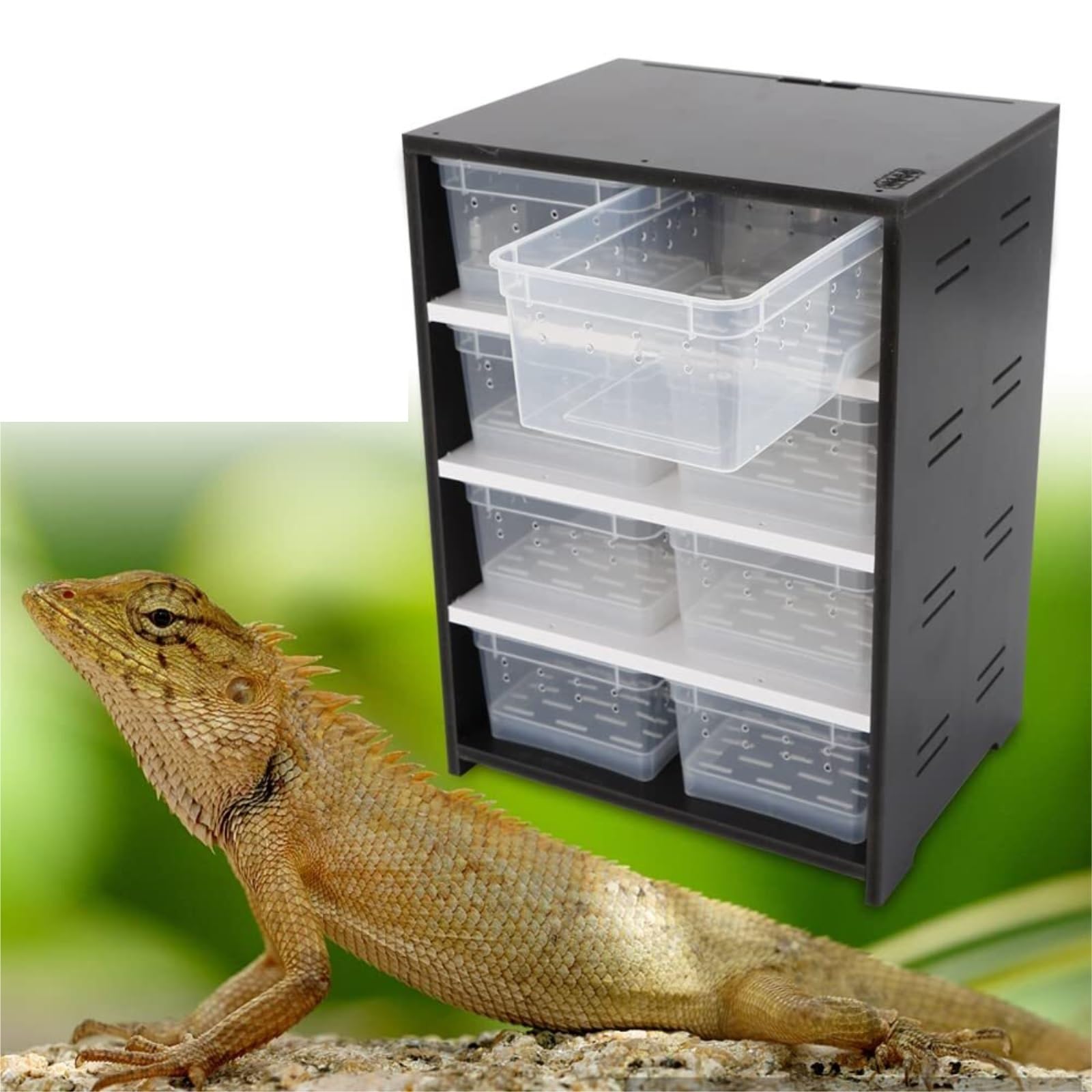 Terrarium Dla Gadów Szafka Do Hodowli Gadów Z Karmnikiem Szafka Do Karmienia Owadów Pudełko Do Hodowli Gadów(White)