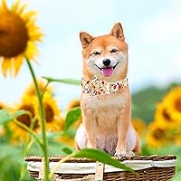 Vista 133 de Lionheart glory Collar de perro con bandera estadounidense, collar de flores para perro del 4 de julio, resistente y ajustable, collar patriótico