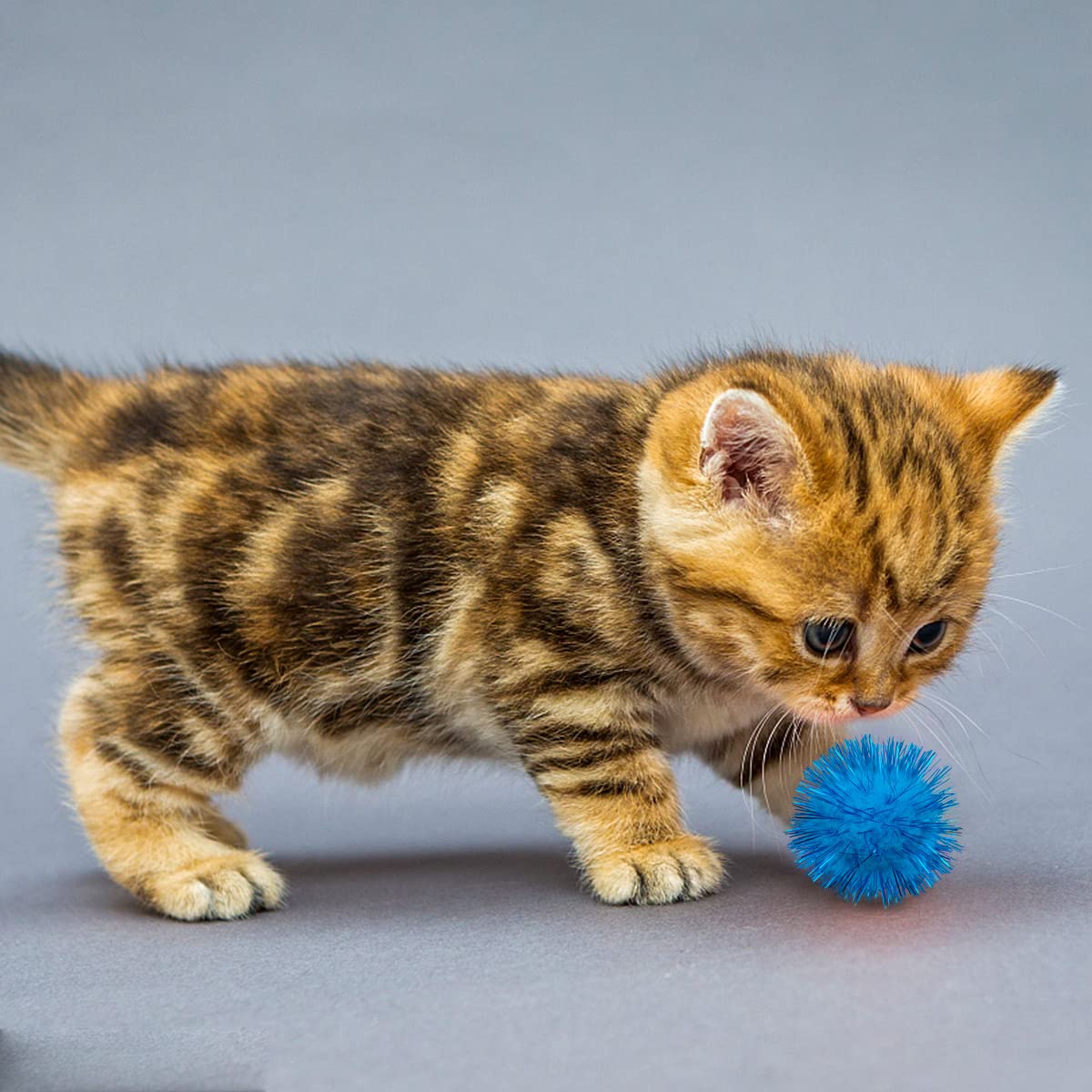 PET SHOW 20 Stück glitzernde Katzenbälle für Indoor-Katzen, 4,5 cm, verschiedene Farben, glitzernd, Kätzchenspielzeug, Bälle für Katzen