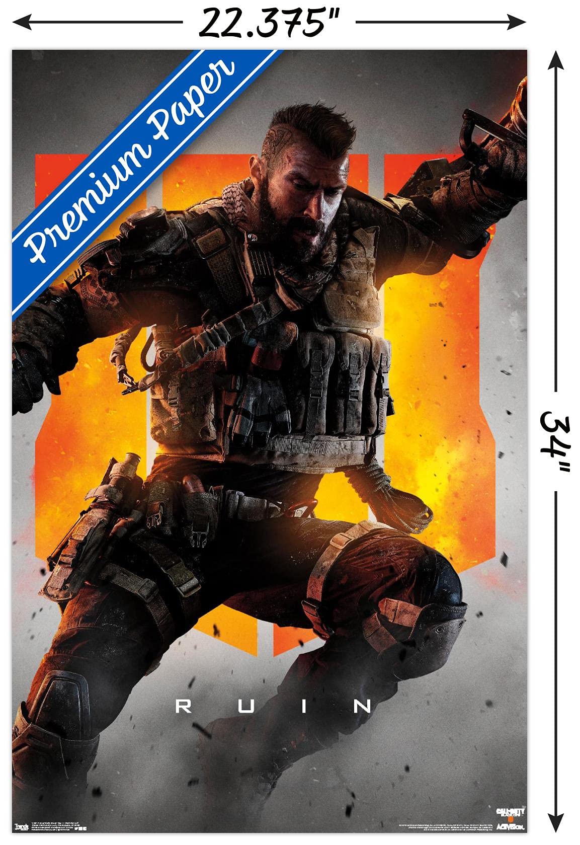 Amazon.com: Trends International Call of Duty: Black Ops 4 - Ruin
