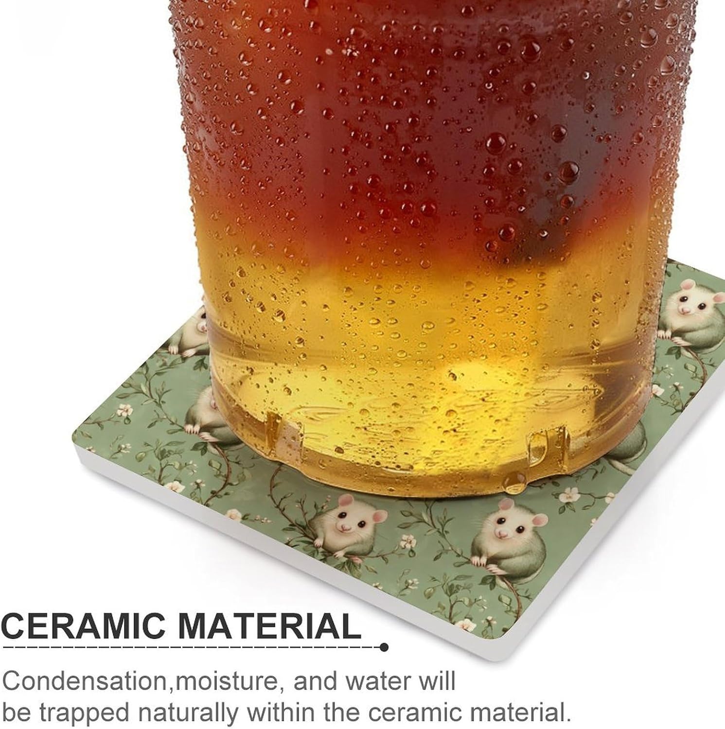 Opossums Ceramic Coasters Square Drinks Coaster Coffee Table Decor Table Coaster for Home Bar