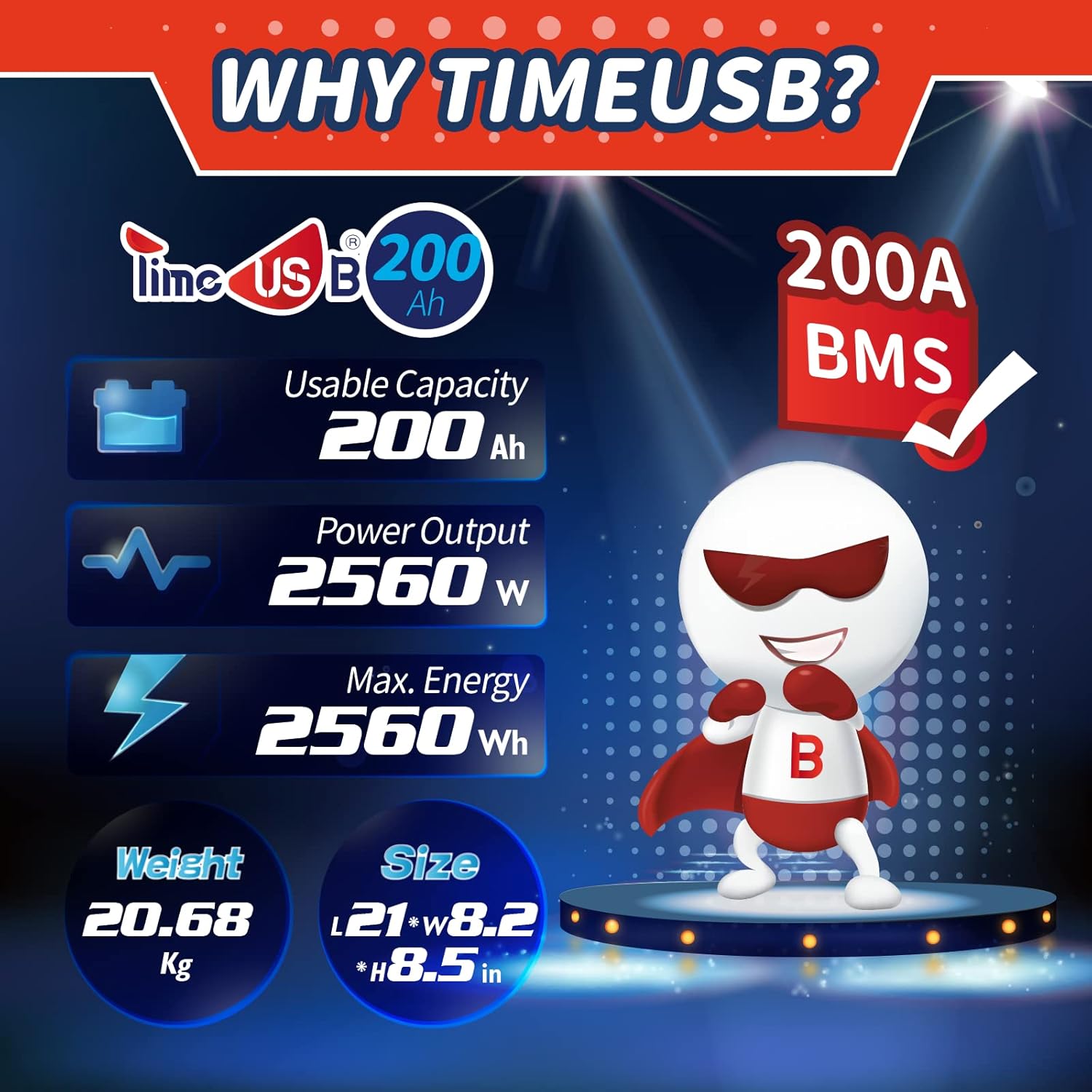Timeusb 12V 200Ah Plus Key Features
