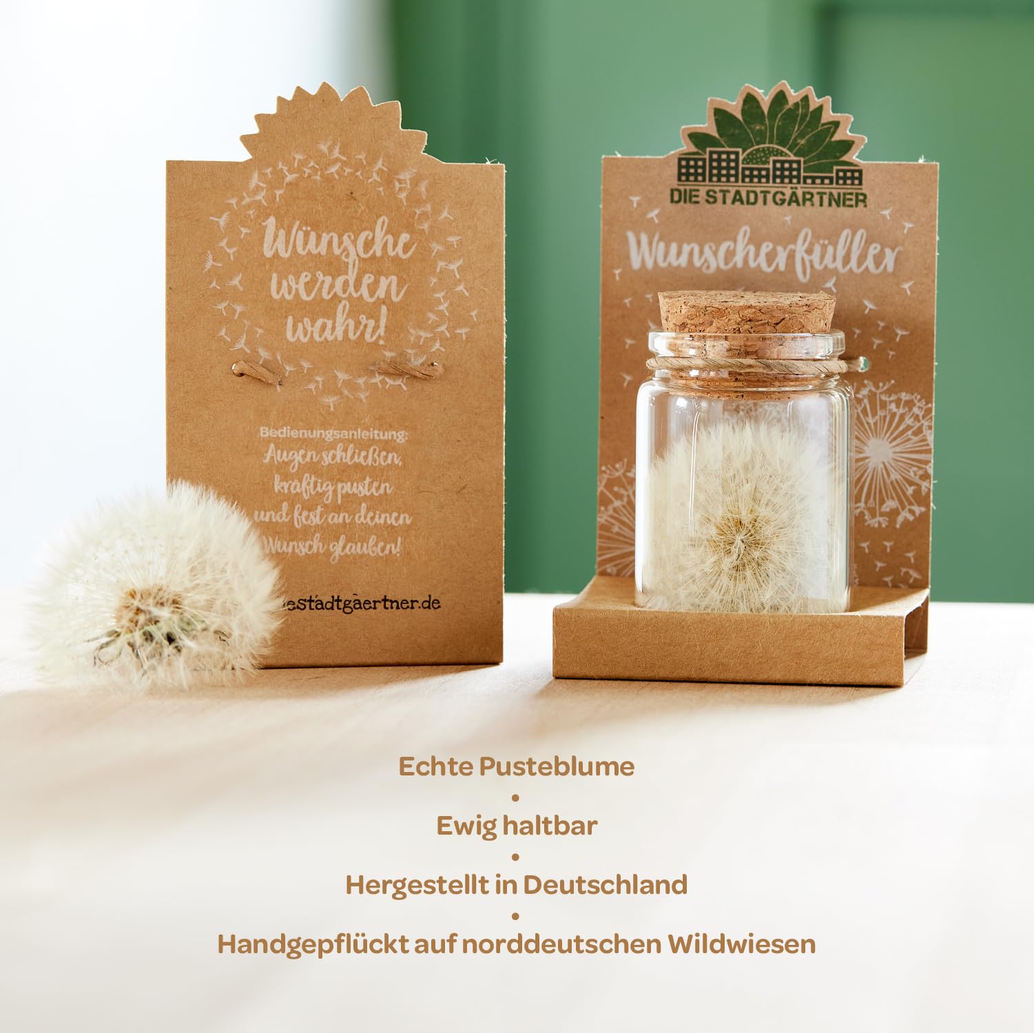 Die Stadtgärtner – Wunscherfüller I Echte Pusteblume im Glas I Ewig haltbar I Perfekte Geschenkidee für jeden Anlass I Geschenke für Frauen & Freundin