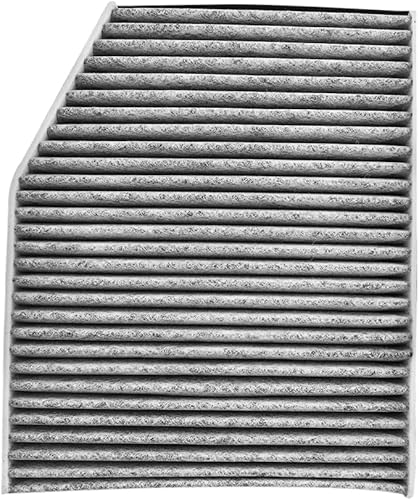 Filtro de aire de cabina para Ford Transit 150 250 350 2015-2023 reemplaza BK21-18D543-AA BK2119G244AA 1812679 1839688 GCF226