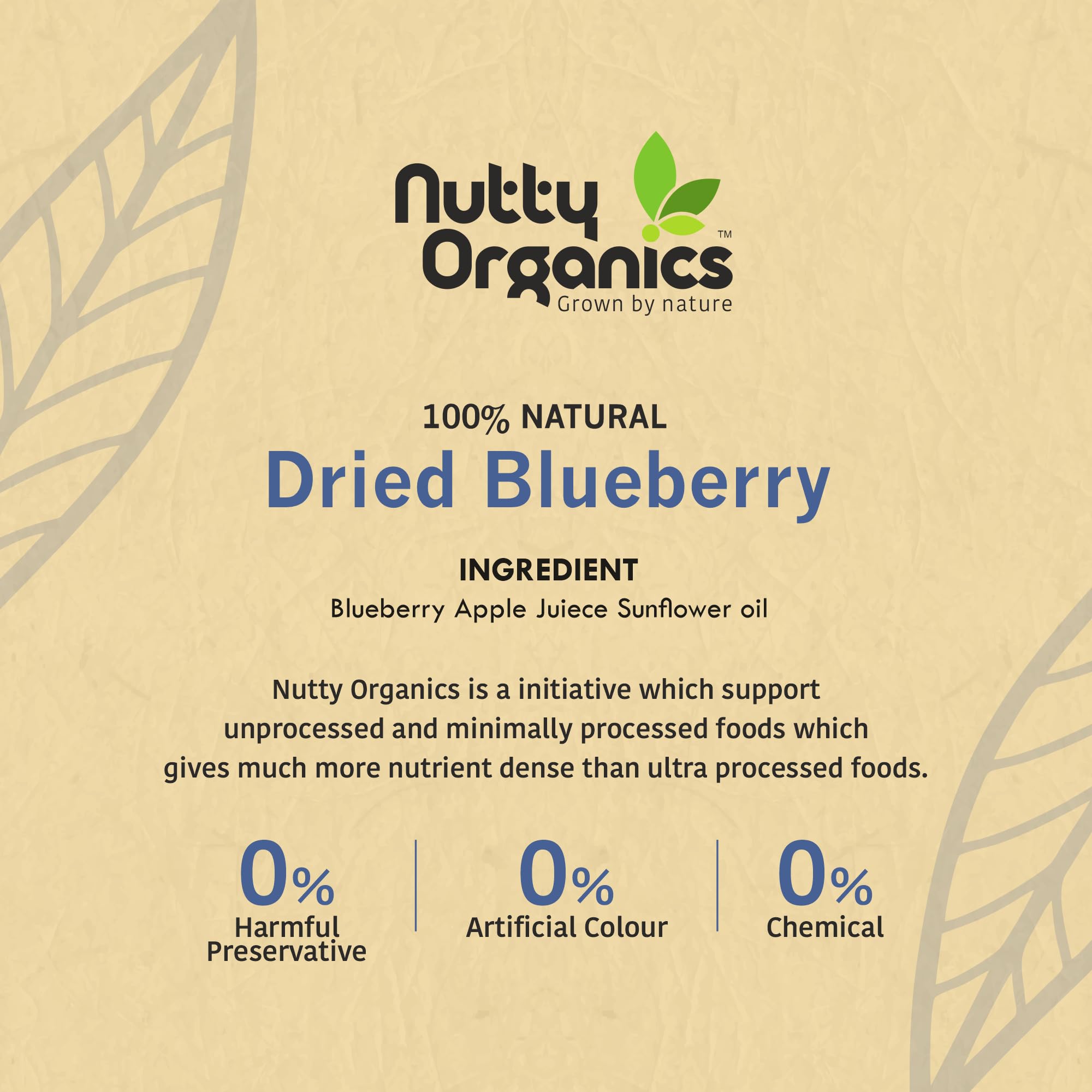 Nutty Organics No Refined Sugar Dried Blueberry, 100Gram, No Additives, 100% Pure & Healthy Snack For All Age (Dried Fruit) - Image 9 thumbnail