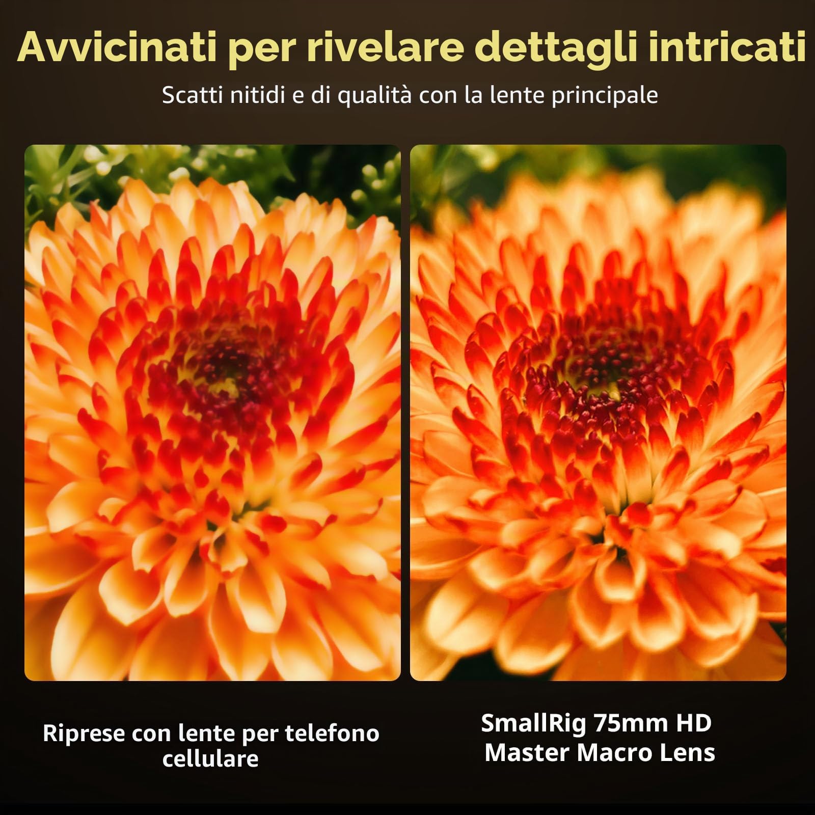 SMALLRIG Obiettivo Macro HD Master da 75 mm, Obiettivo con Attacco a T per iPhone, per Samsung, per HUAWEI, per Xiaomi, Attacco Obiettivo per Fotocamera Macro per Telefono - 4588