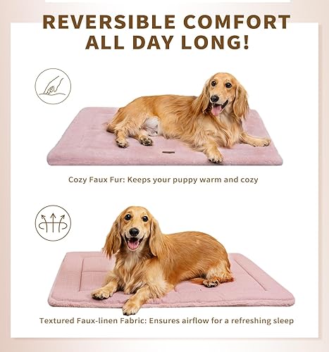 Miniatura 8 de Made4Pets - Cama elevada para perros extrales grandes de 49 x 32 pulgadas, cama para perros grandes, 41 x 29 pulgadas, uso en exteriores e interiores