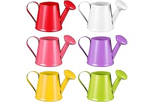 Mini Metal Watering Can Decor