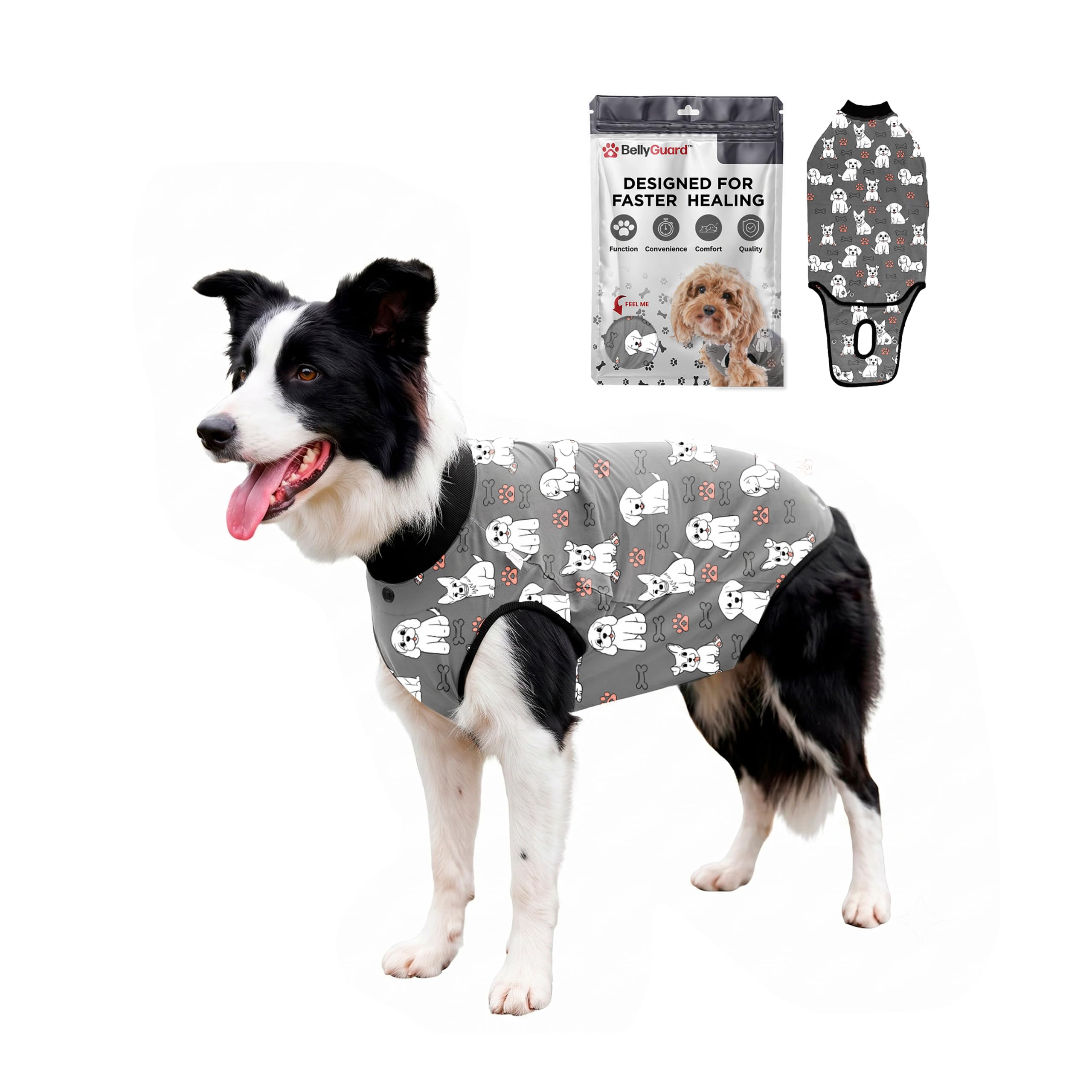 BellyGuard Dog Surgery Recovery Suit, Male Female After Spay Neuter Onesie