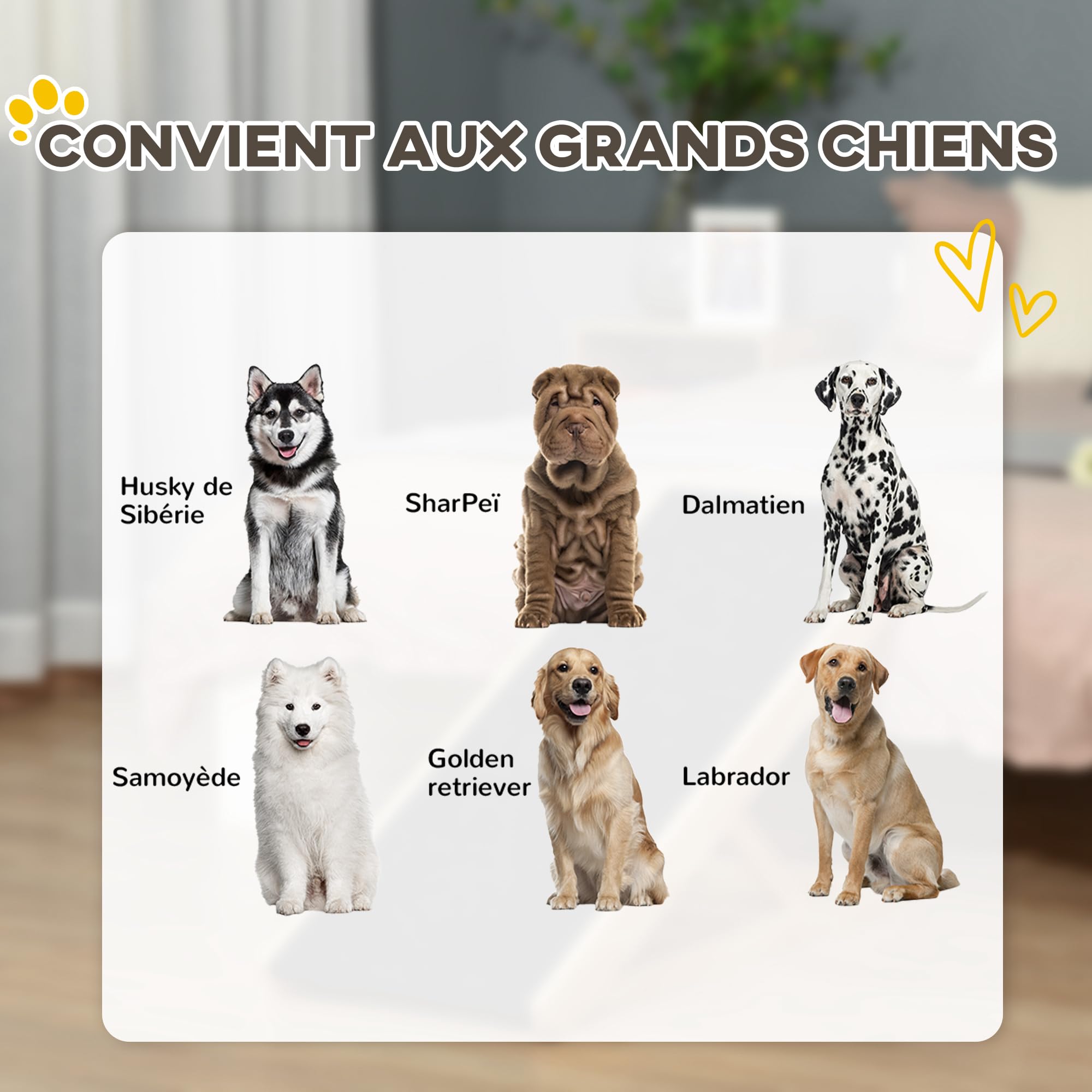 PawHut Rampe pour Chien de Grande Taille Pliable, escalier pour Chien avec Hauteur Ajustable 26-61 cm, Surface antidérapante, Facile à Transporter, pour lit et canapé, Bois de pin, Noir
