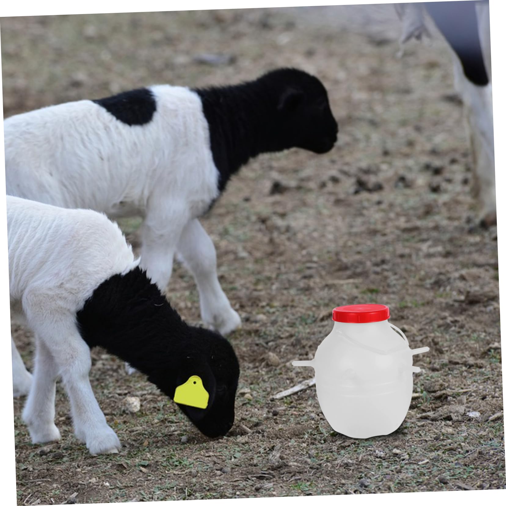 Biberon per Agnelli 8l in Plastica con Tettarelle in Silicone per Alimentazione di Capre, Vitelli, Animali Domestici di Piccola Taglia
