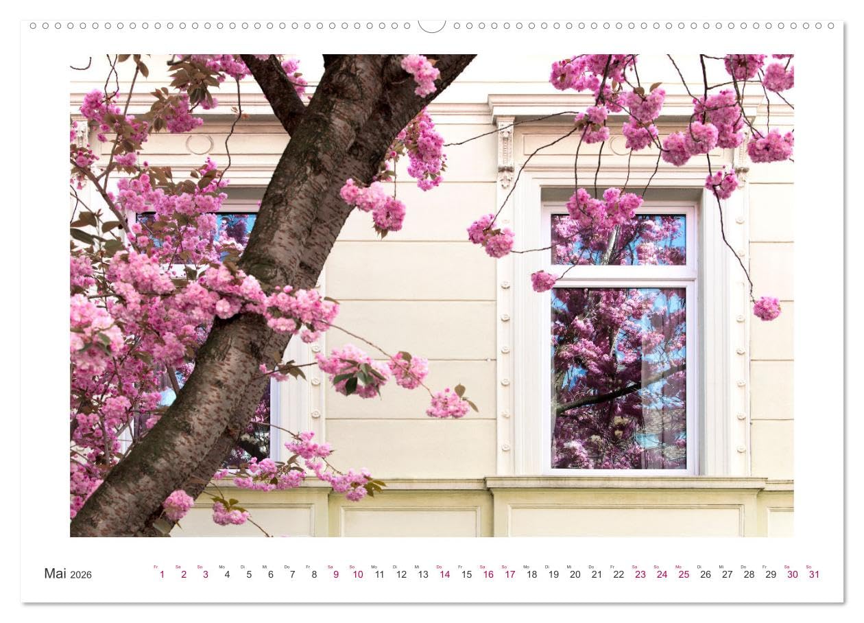 Japanische Kirschblüte in Bonn (hochwertiger Premium Wandkalender 2026 DIN A2 quer), Kunstdruck in Hochglanz: Die Altstadt erstrahlt in Pink und Rosa (CALVENDO Orte)