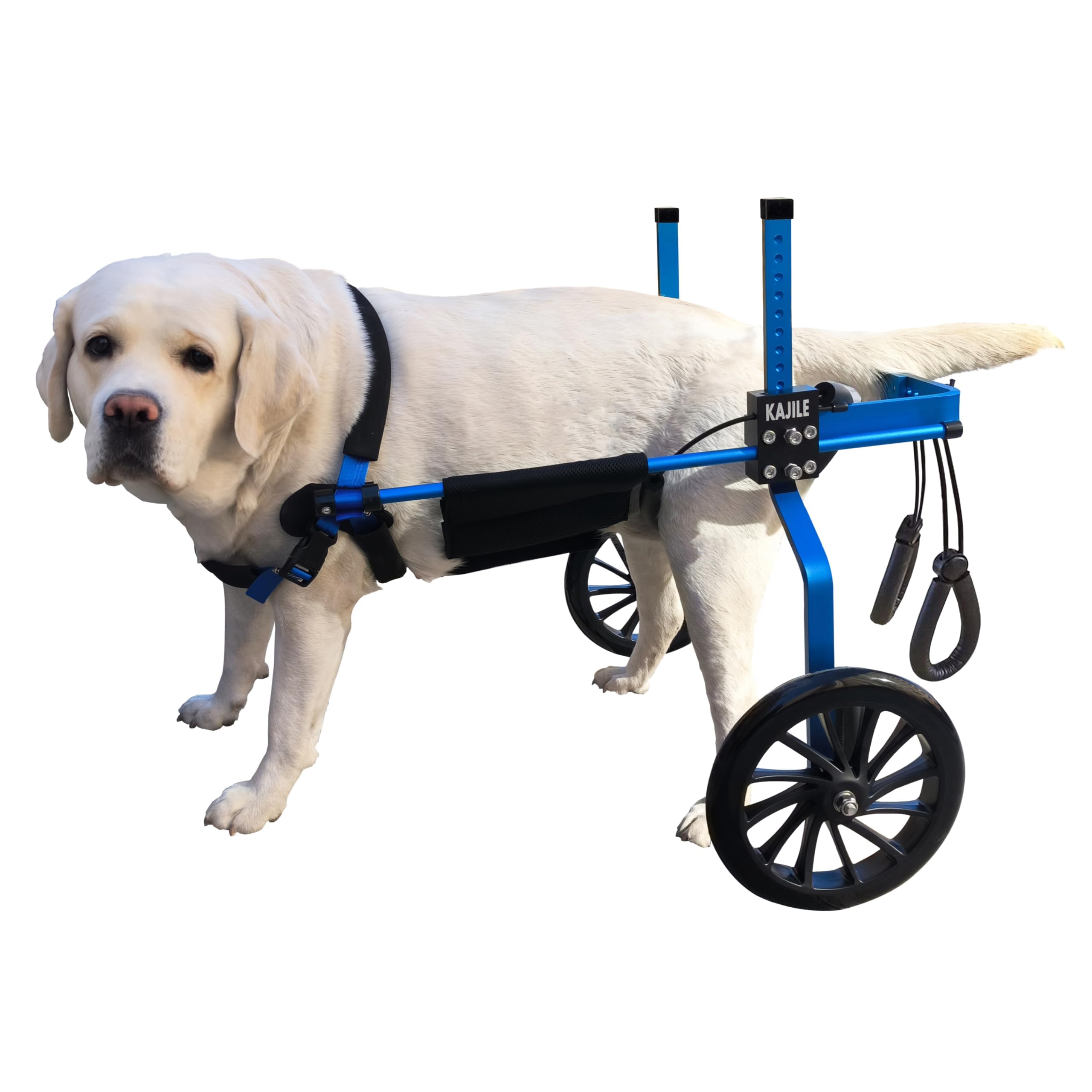 Amazon.co.jp: KAJILE 調整可能な犬用車椅子、ペットカート、ハンディ