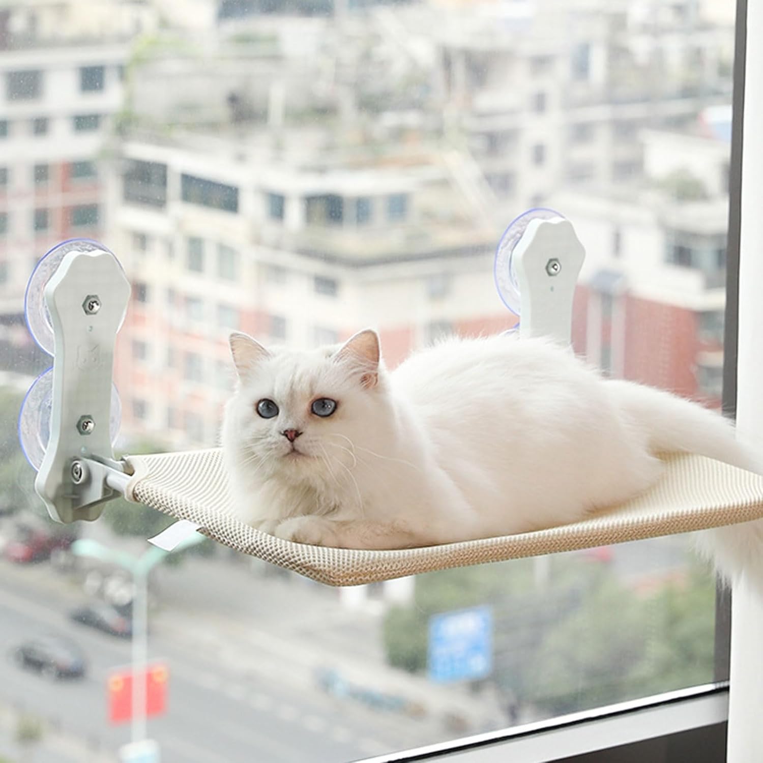 Wall Mounted Cat Furniture - Hammock, Cat Wall Shelves, Cat Wall Bed, Cat Climbing Shelves, Modern Design for Large Cats and Kittens(Yellow,60cm/24in)