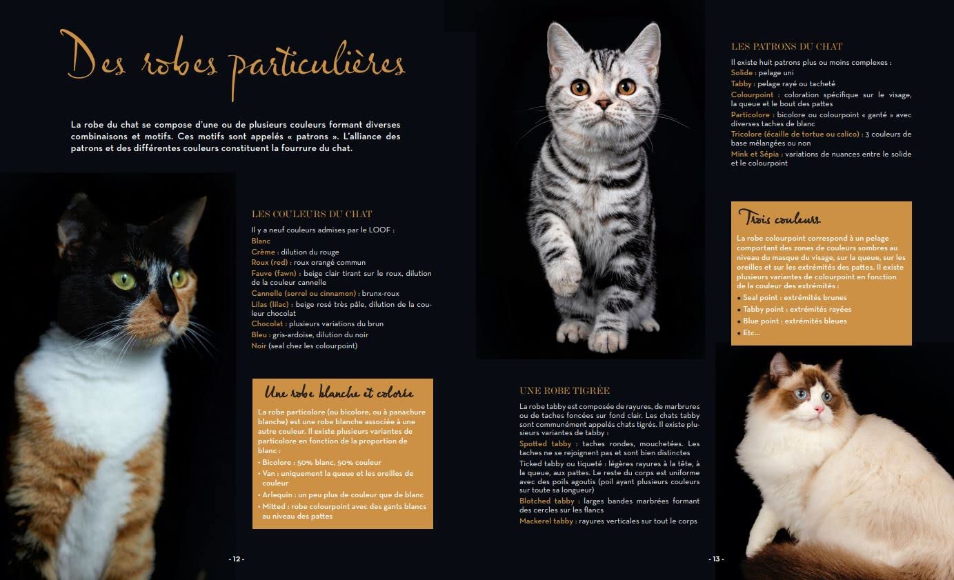 A chacun son chat: Les plus beaux chats de race, de la naissance à l'âge adulte
