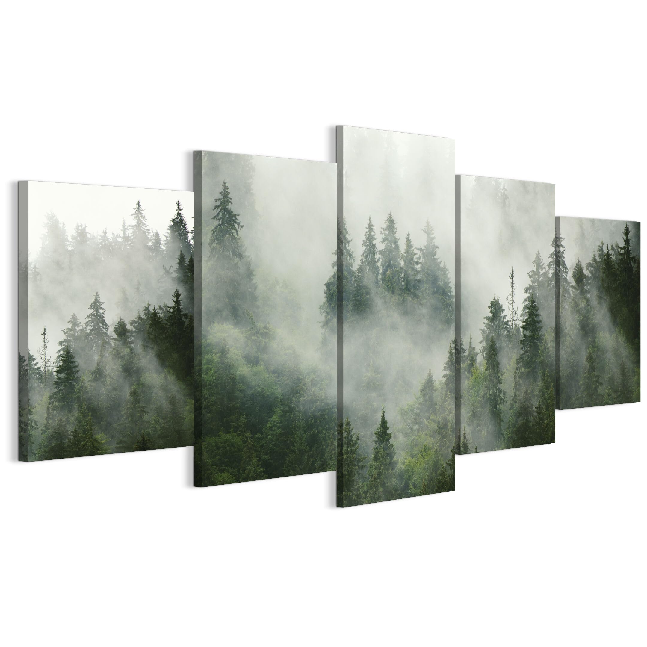 LUMASOUL Wandbilder Wohnzimmer 5-teilig Leinwandbild Wald 11 200x100 cm