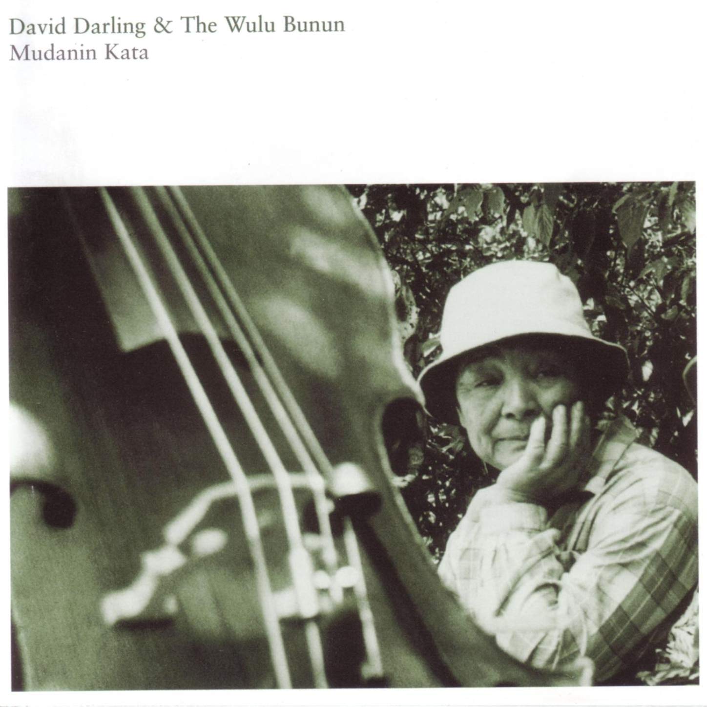 David Darling & The Wulu Bunun