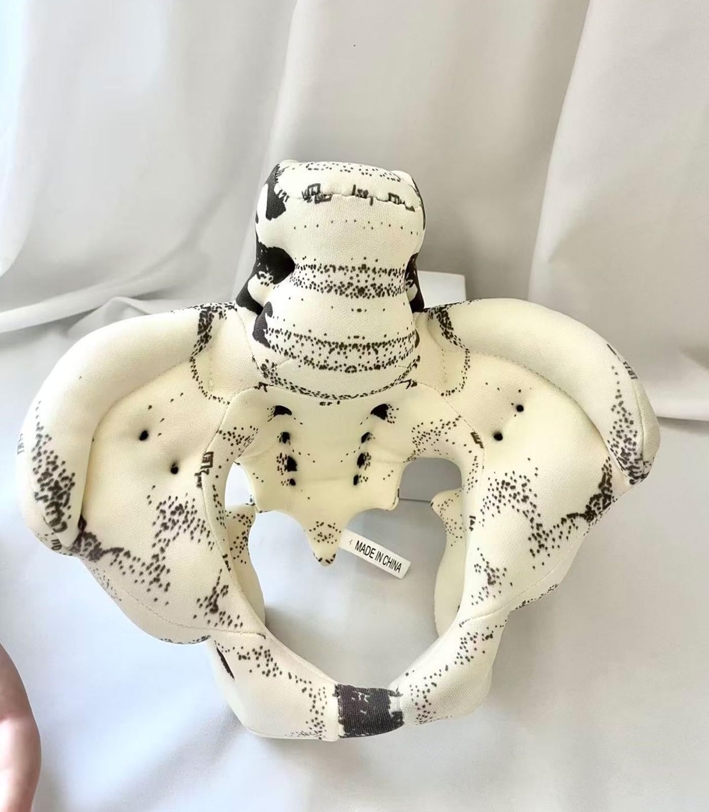 Outil de simulation d'accouchement : mini-bassin féminin, modèle de bébé avec fœtus, cordon ombilical et placenta. Simulateur de démonstration d'accouchement pour études médicales et enseignement.