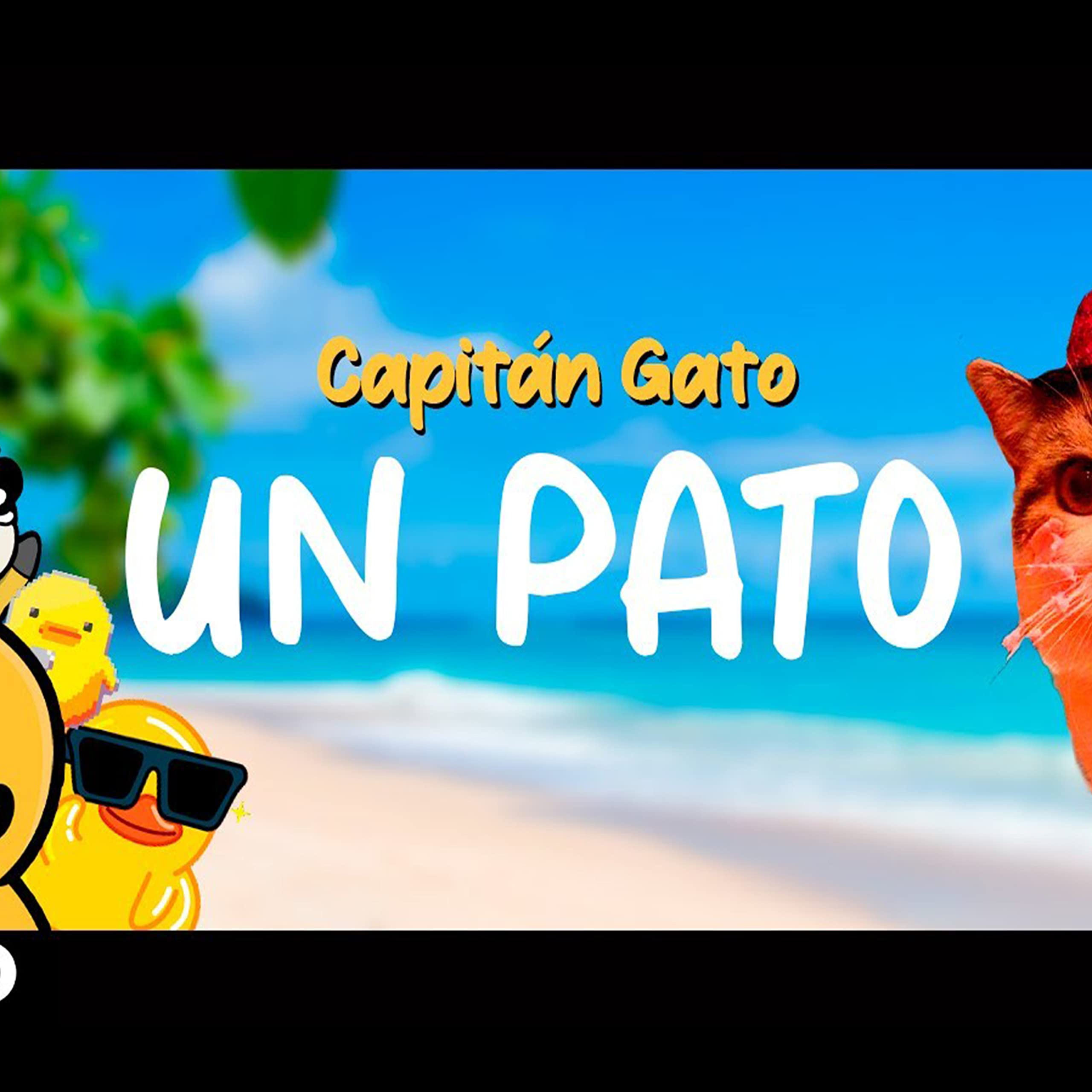 Capitán Gato